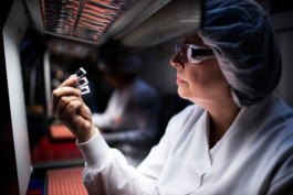 Visual Inspection GlaxoSmithKline Vaccine 