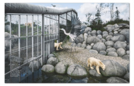 Modern Zoos GEO 