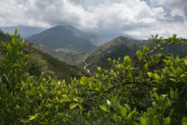 Indigenous Resistance Colombia
