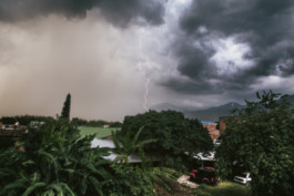 Indigenous Resistance Colombia