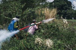 Indigenous Resistance Colombia