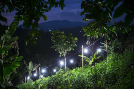 Indigenous Resistance Colombia