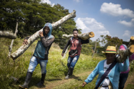 Indigenous Resistance Colombia
